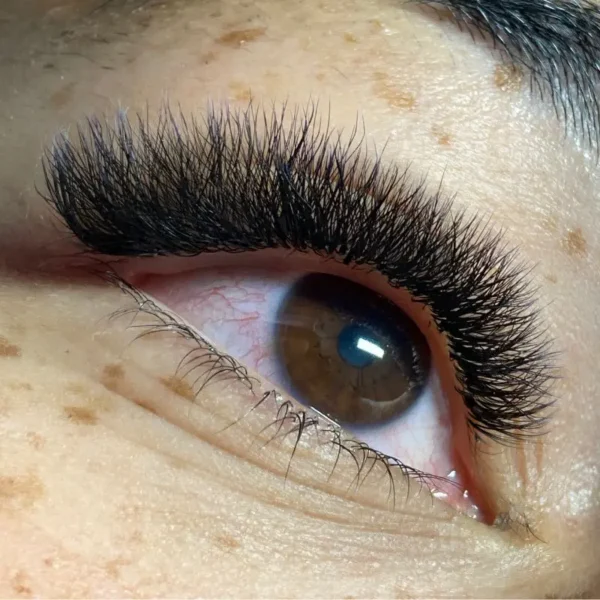 6D Clover Lashes - 0.05mm - Image 5
