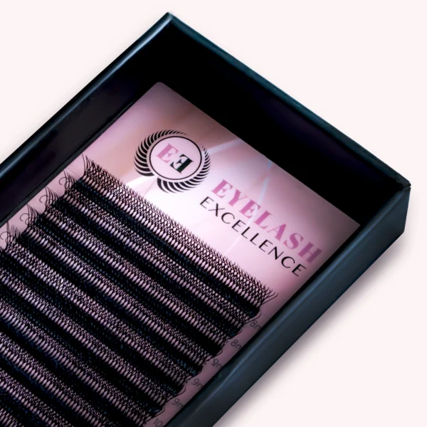 8D YY Lashes INT